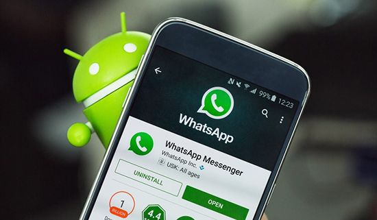 Tips WhatsApp Marketing